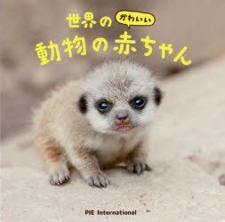 世界のかわいい動物の赤ちゃん