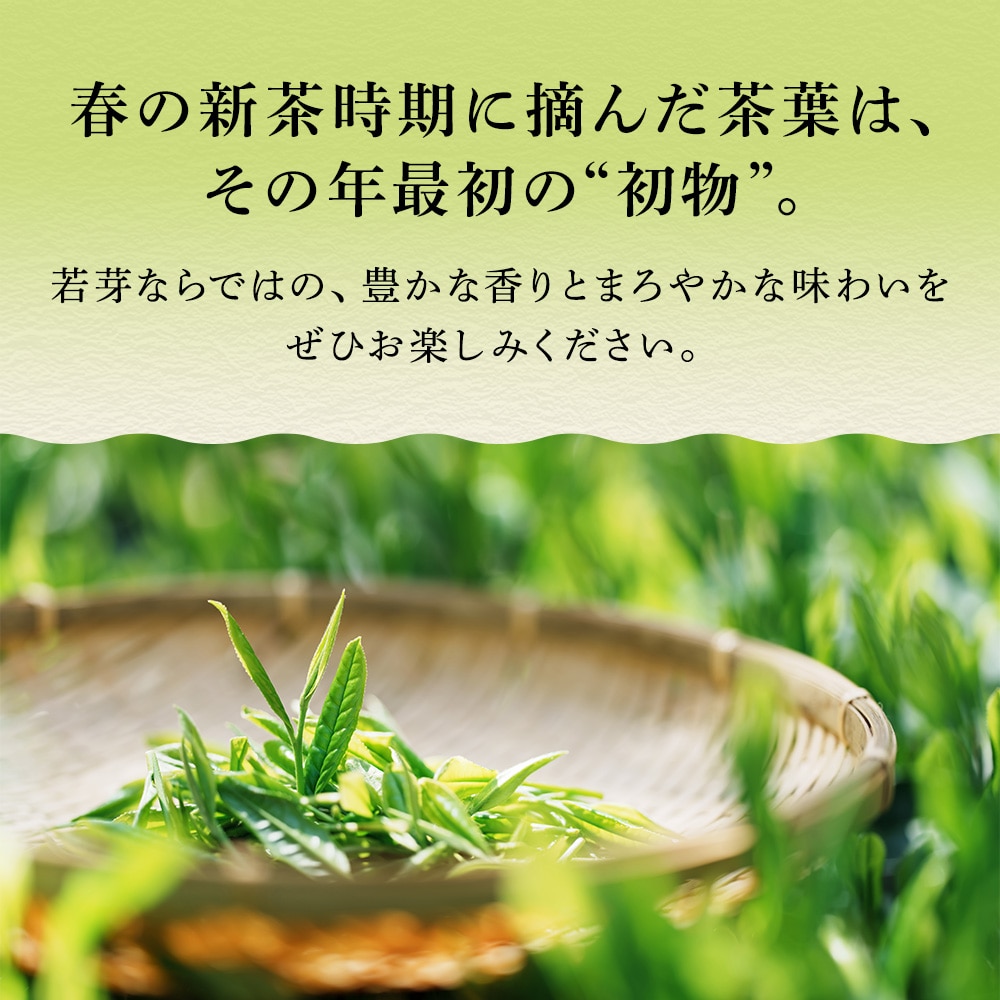 厳選がぶ飲み深むし茶 ティーパック 100個入 送料無料 メール便 お茶 緑茶 ティーバッグ 業務用 お徳用 お得用 大容量 日本茶 国産