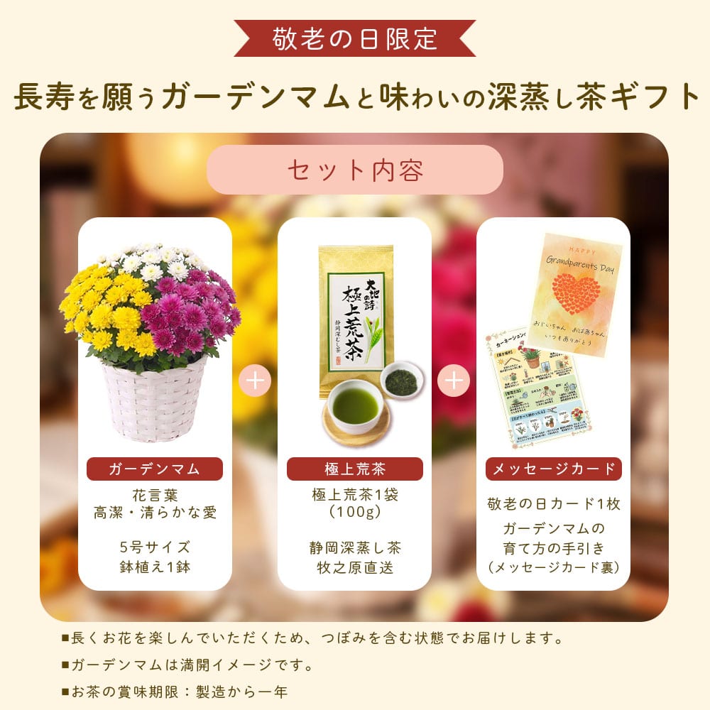 敬老の日 花とセット ガーデンマム&静岡茶 祖母 祖父 人気 花 花ギフト 菊 メッセージカード付き ギフト プレゼント 送料無料 静岡茶 お茶 緑茶 茶葉 お茶の葉 ※9/17頃より順次発送