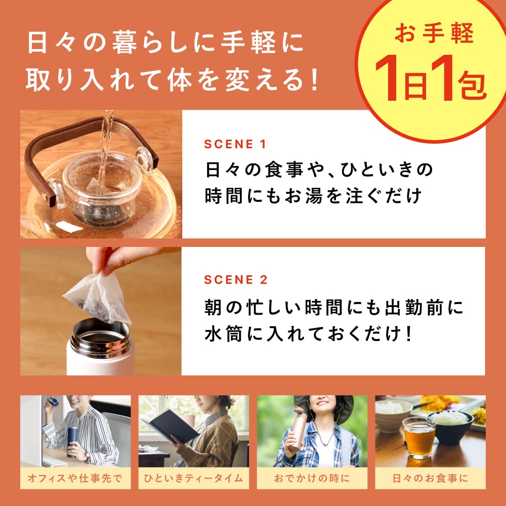 機能性表示食品 国産 プーアール茶 SARYU-SOSO 5g×10包 送料無料 メール便 ダイエット茶 内臓脂肪 プーアル茶 プアール茶 煮だし用 1リットル用 静岡茶