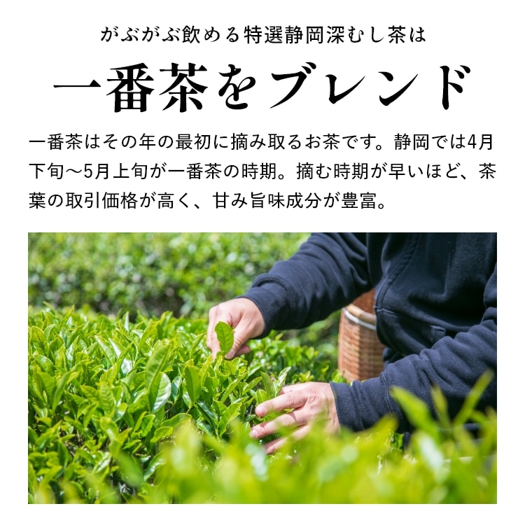 特選 がぶ飲み深むし茶 静岡深むし茶 100g×3袋 送料無料 メール便 お茶 緑茶 茶葉 業務用 お徳用 お得用 日本茶 国産