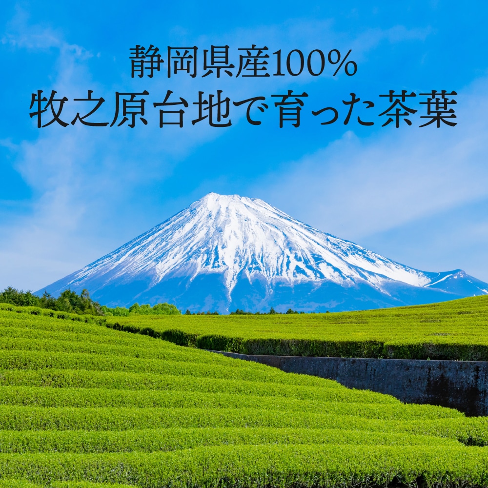 濃いがぶがぶ飲めるほうじ茶 ティーパック 51個入 送料無料 メール便 お茶 ほうじ茶 ティーバッグ 茶葉 粉末 大容量 業務用 お徳用 お得用 日本茶
