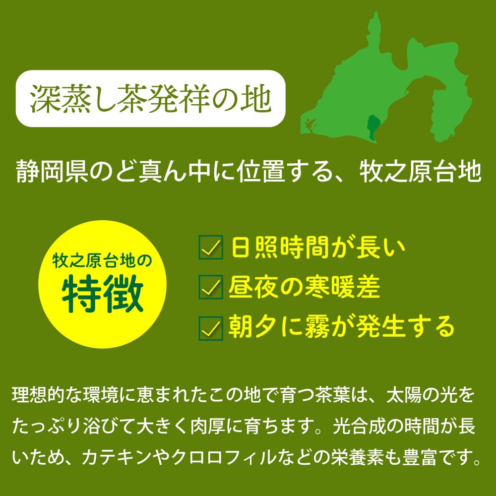 濃いがぶがぶ飲めるほうじ茶 ティーパック 51個入 送料無料 メール便 お茶 ほうじ茶 ティーバッグ 茶葉 粉末 大容量 業務用 お徳用 お得用 日本茶