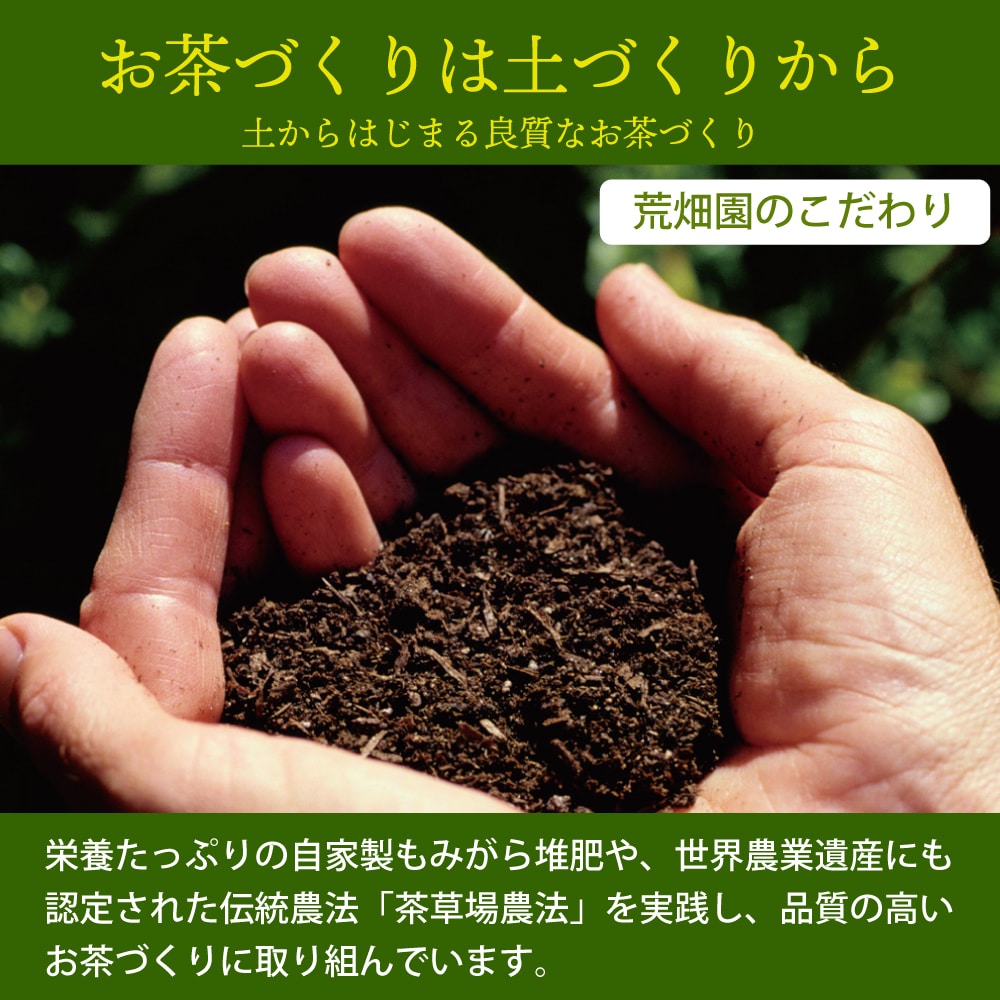 濃いがぶがぶ飲めるほうじ茶 ティーパック 51個入 送料無料 メール便 お茶 ほうじ茶 ティーバッグ 茶葉 粉末 大容量 業務用 お徳用 お得用 日本茶