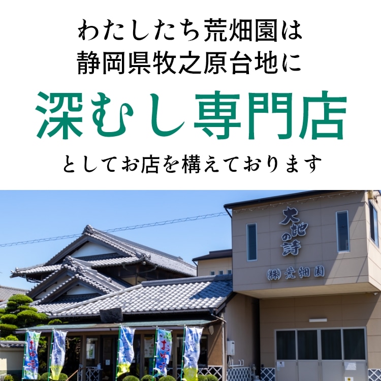 特選 がぶ飲み深むし茶 静岡深むし茶 100g×3袋 送料無料 メール便 お茶 緑茶 茶葉 業務用 お徳用 お得用 日本茶 国産