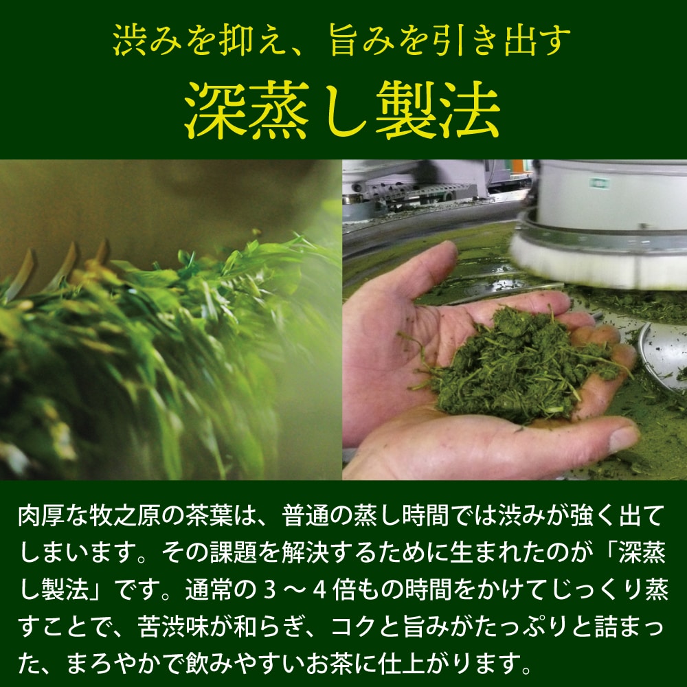 濃いがぶがぶ飲めるほうじ茶 ティーパック 51個入 送料無料 メール便 お茶 ほうじ茶 ティーバッグ 茶葉 粉末 大容量 業務用 お徳用 お得用 日本茶