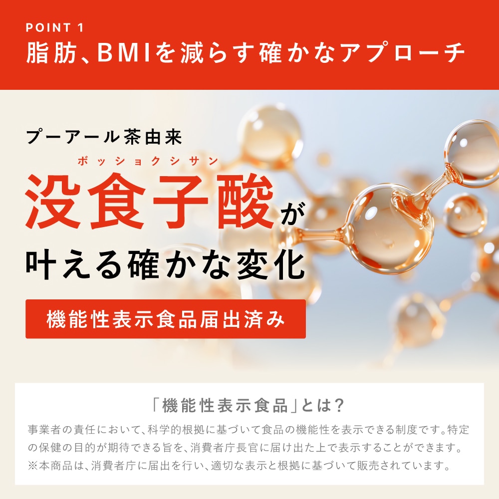 機能性表示食品 国産 プーアール茶 SARYU-SOSO 5g×10包 送料無料 メール便 ダイエット茶 内臓脂肪 プーアル茶 プアール茶 煮だし用 1リットル用 静岡茶
