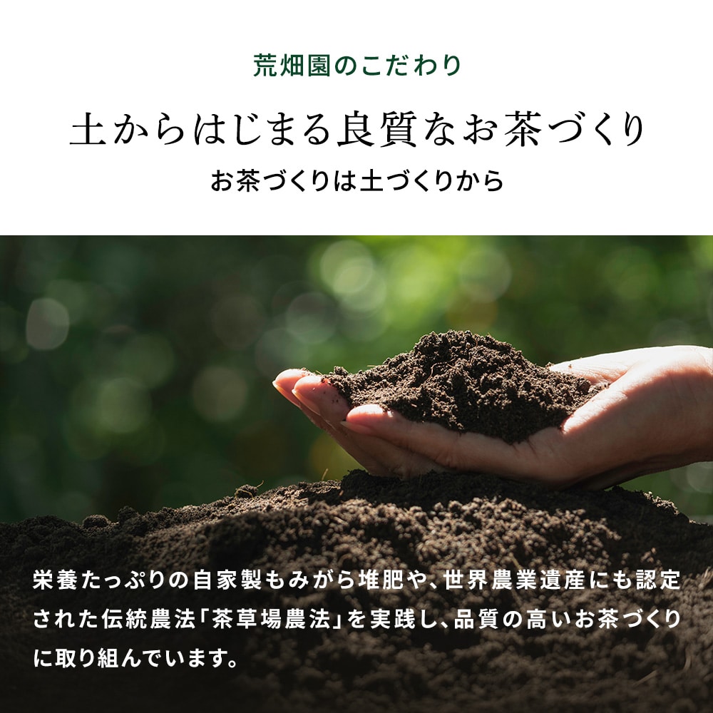 厳選がぶ飲み深むし茶 ティーパック 100個入 送料無料 メール便 お茶 緑茶 ティーバッグ 業務用 お徳用 お得用 大容量 日本茶 国産