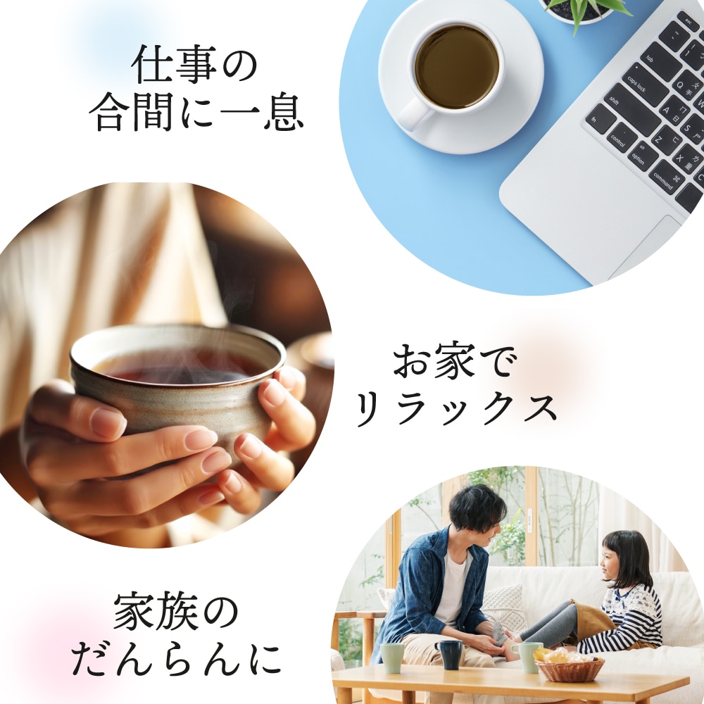濃いがぶがぶ飲めるほうじ茶 ティーパック 51個入 送料無料 メール便 お茶 ほうじ茶 ティーバッグ 茶葉 粉末 大容量 業務用 お徳用 お得用 日本茶