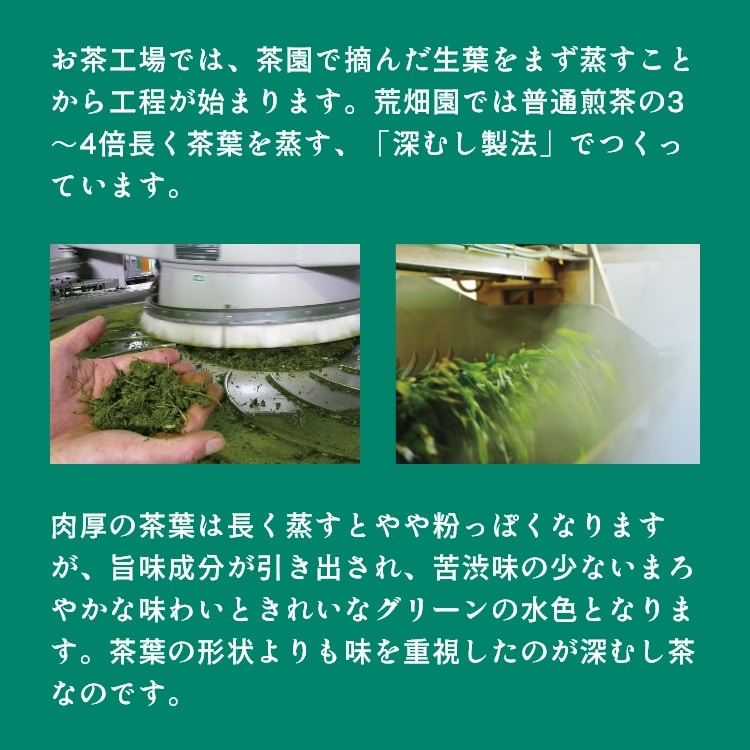 特選 がぶ飲み深むし茶 静岡深むし茶 100g×3袋 送料無料 メール便 お茶 緑茶 茶葉 業務用 お徳用 お得用 日本茶 国産