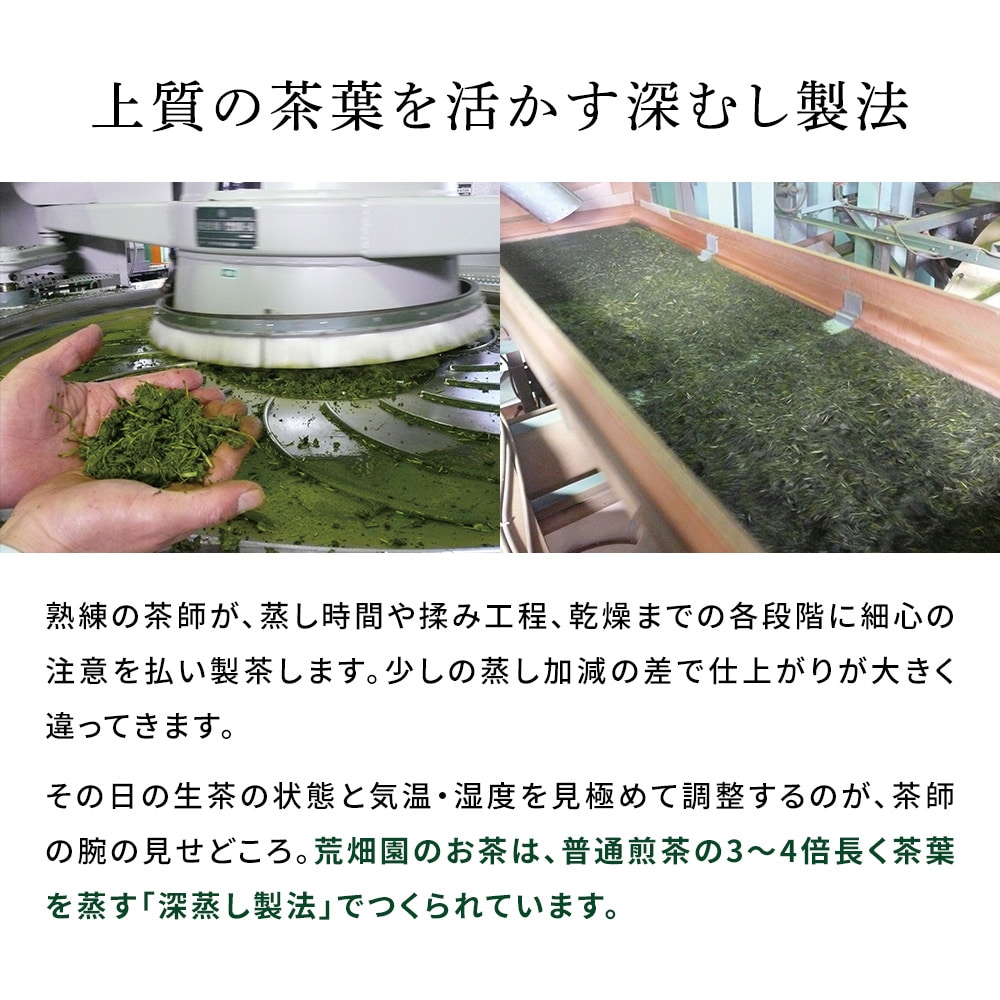 厳選がぶ飲み深むし茶 ティーパック 100個入 送料無料 メール便 お茶 緑茶 ティーバッグ 業務用 お徳用 お得用 大容量 日本茶 国産