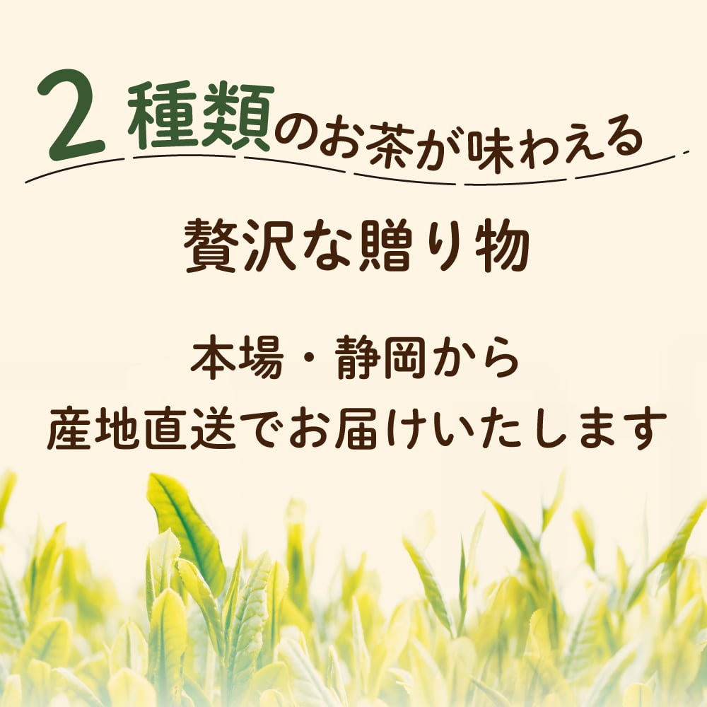 お歳暮 ギフト 選べる 縁起物お茶缶 2本箱入 プレゼント お茶 緑茶 茶葉 深蒸し茶 日本茶 静岡茶 招き猫 ふくろう だるま 茶筒 お年賀 人気 可愛い ねこ 祖父 祖母 60代 70代 80代 90代 招き猫缶 B
