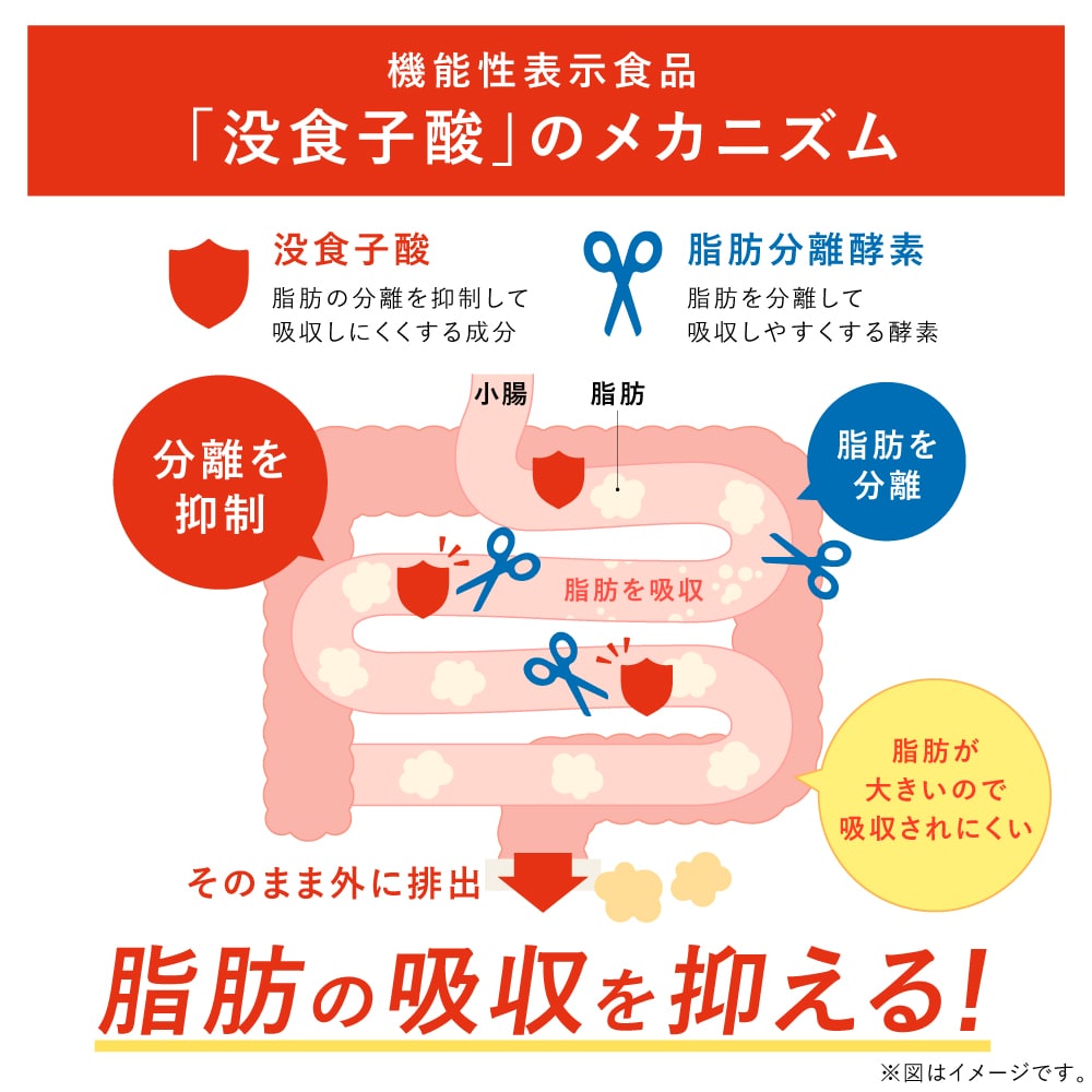 機能性表示食品 国産 プーアール茶 SARYU-SOSO 5g×10包 送料無料 メール便 ダイエット茶 内臓脂肪 プーアル茶 プアール茶 煮だし用 1リットル用 静岡茶