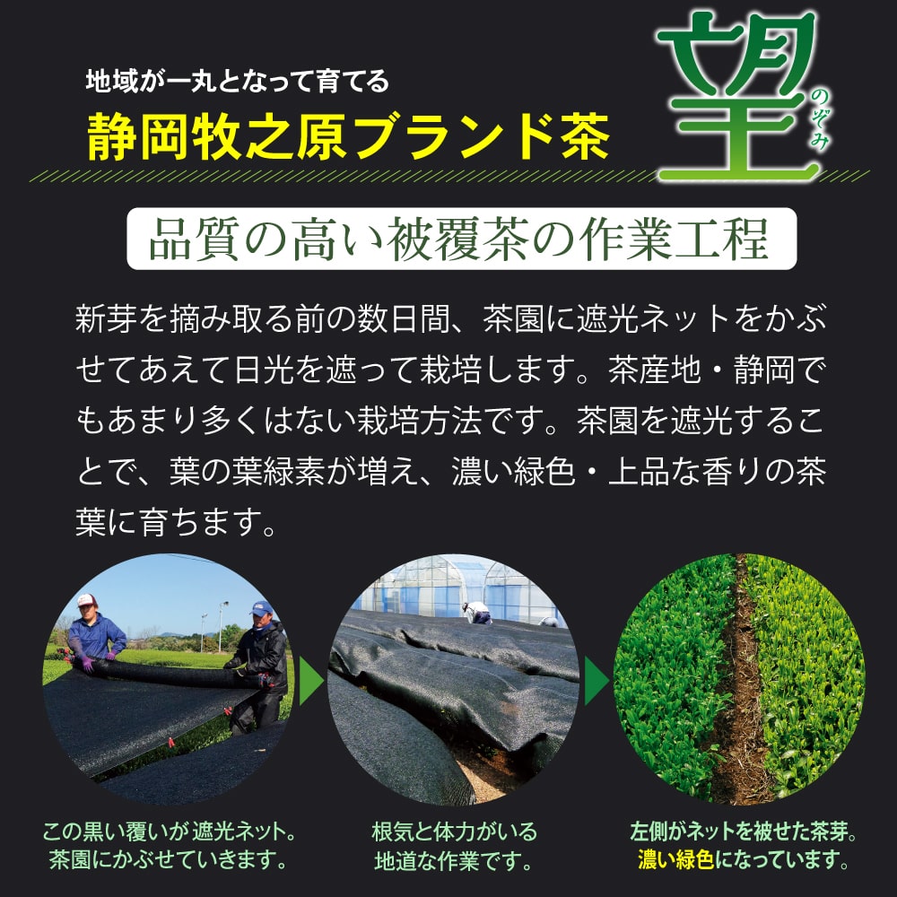静岡県牧之原ブランド茶 望金印・茶こし箱入 ギフト プレゼント お茶 緑茶 茶葉 日本茶 静岡茶 国産 深蒸し茶 高級茶