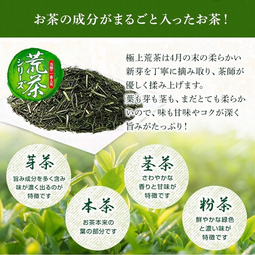 敬老の日 花とセット ガーデンマム&静岡茶 祖母 祖父 人気 花 花ギフト 菊 メッセージカード付き ギフト プレゼント 送料無料 静岡茶 お茶 緑茶 茶葉 お茶の葉 ※9/17頃より順次発送