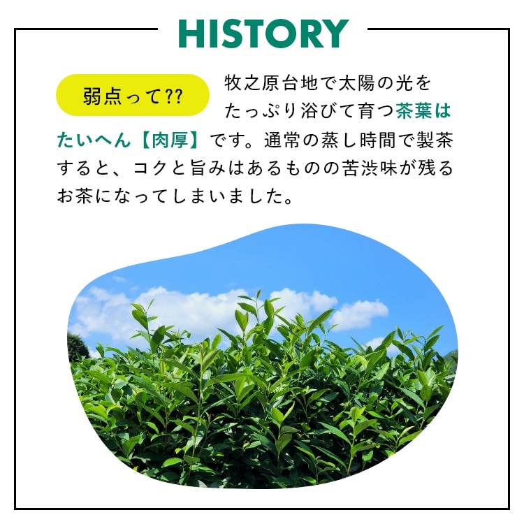 特選 がぶ飲み深むし茶 静岡深むし茶 100g×3袋 送料無料 メール便 お茶 緑茶 茶葉 業務用 お徳用 お得用 日本茶 国産