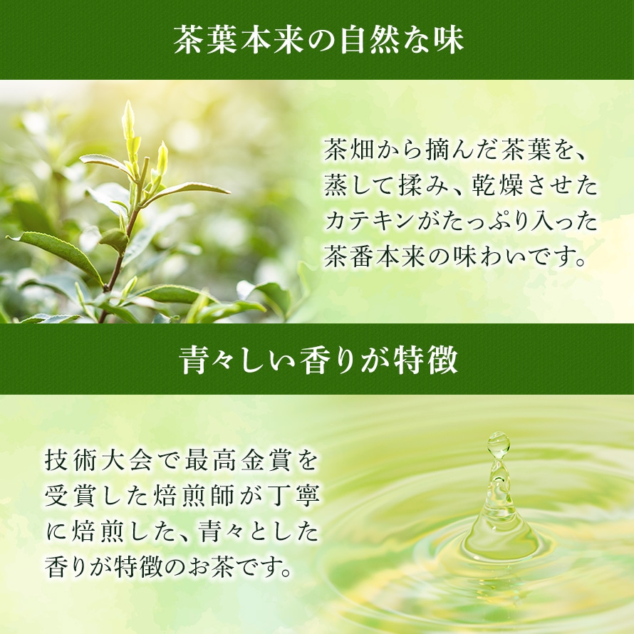 敬老の日 花とセット ガーデンマム&静岡茶 祖母 祖父 人気 花 花ギフト 菊 メッセージカード付き ギフト プレゼント 送料無料 静岡茶 お茶 緑茶 茶葉 お茶の葉 ※9/17頃より順次発送