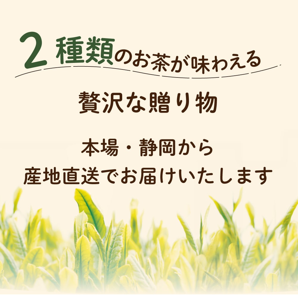 お歳暮 ギフト お茶 静岡茶 選べるお茶缶 茶こしのギフトセット 日本茶 2本箱入 縁起物 招き猫缶 ふくろう缶 だるま缶 お茶 緑茶 茶葉 送料無料 人気 60代 70代 80代 可愛い ねこ ネコ 深蒸し茶 プレゼント 紅白だるま缶・茶こしセット A