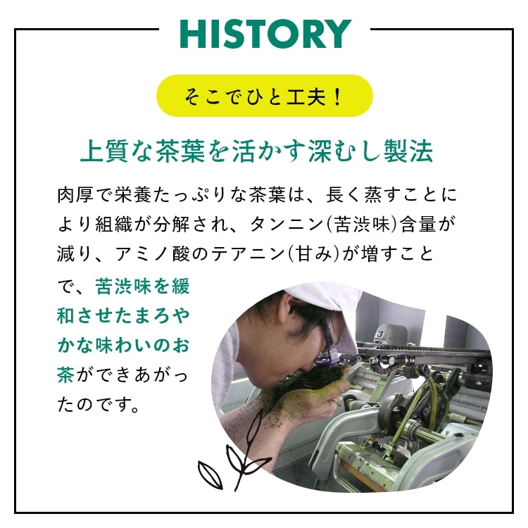 特選 がぶ飲み深むし茶 静岡深むし茶 100g×3袋 送料無料 メール便 お茶 緑茶 茶葉 業務用 お徳用 お得用 日本茶 国産