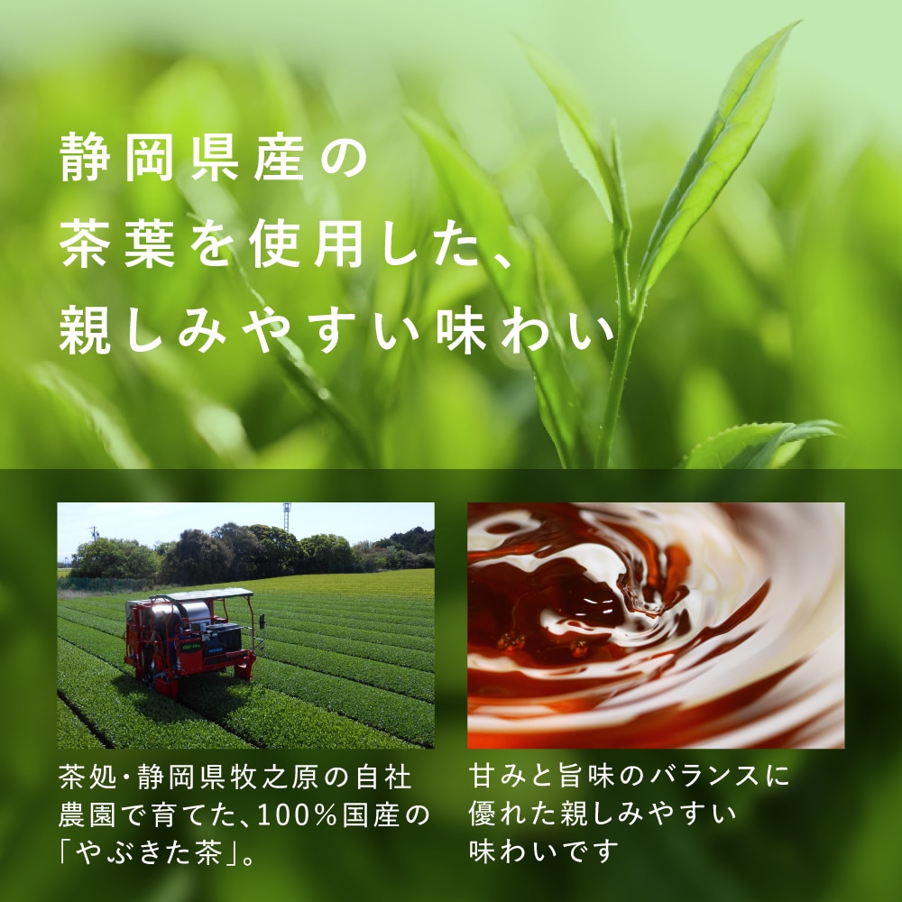 機能性表示食品 国産 プーアール茶 SARYU-SOSO 5g×10包 送料無料 メール便 ダイエット茶 内臓脂肪 プーアル茶 プアール茶 煮だし用 1リットル用 静岡茶