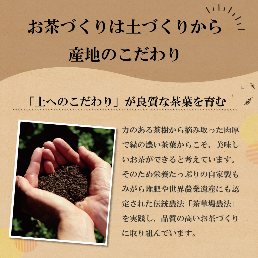 福袋 2026 大入り茶葉セット お茶 緑茶 茶葉 静岡茶 詰め合せ 深蒸し茶