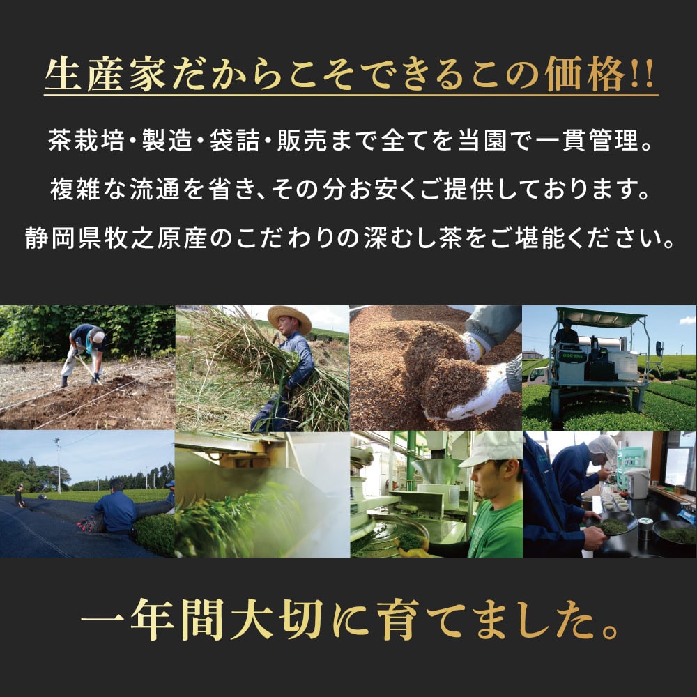 厳選がぶ飲み深むし茶 ティーパック 100個入 送料無料 メール便 お茶 緑茶 ティーバッグ 業務用 お徳用 お得用 大容量 日本茶 国産