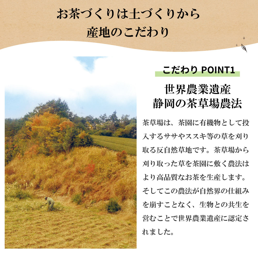 福袋 2026 大入り茶葉セット お茶 緑茶 茶葉 静岡茶 詰め合せ 深蒸し茶