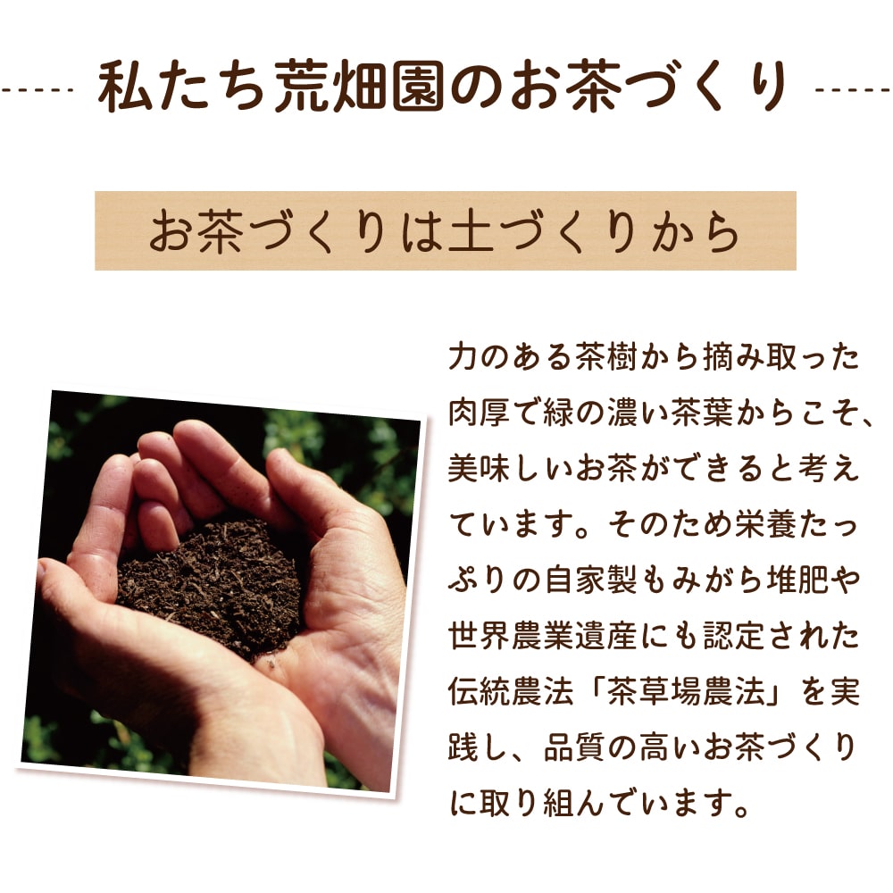 敬老の日 花とセット ガーデンマム&静岡茶 祖母 祖父 人気 花 花ギフト 菊 メッセージカード付き ギフト プレゼント 送料無料 静岡茶 お茶 緑茶 茶葉 お茶の葉 ※9/17頃より順次発送