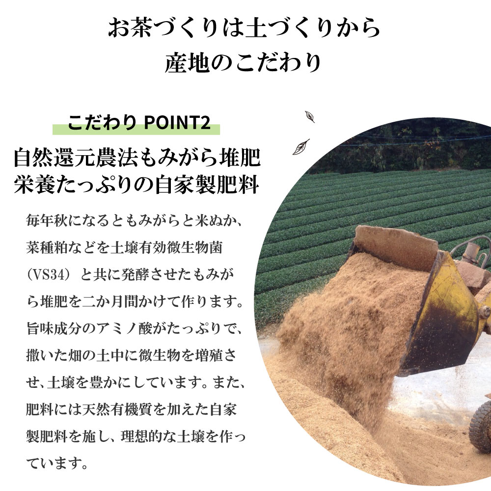 福袋 2026 大入り茶葉セット お茶 緑茶 茶葉 静岡茶 詰め合せ 深蒸し茶