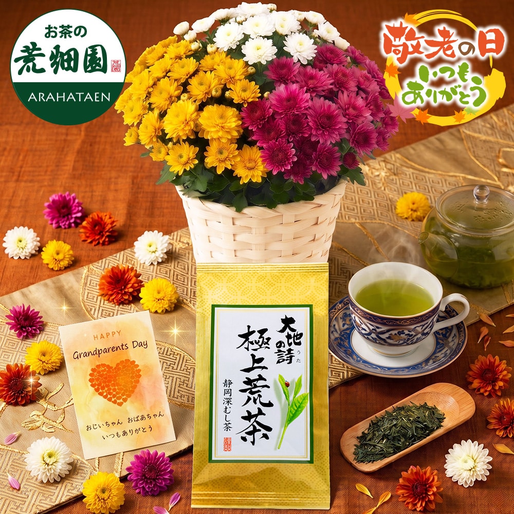 敬老の日 花とセット ガーデンマム&静岡茶 祖母 祖父 人気 花 花ギフト 菊 メッセージカード付き ギフト プレゼント 送料無料 静岡茶 お茶 緑茶 茶葉 お茶の葉 ※9/17頃より順次発送