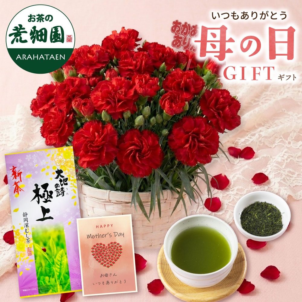 母の日 2026 花とセット 極上新茶カーネーションセット 母 祖母 人気 花 花ギフト カーネション メッセージカード付き ギフト プレゼント 送料無料 静岡茶 新茶 お茶 緑茶 茶葉 お茶の葉 ※5/6頃より順次発送