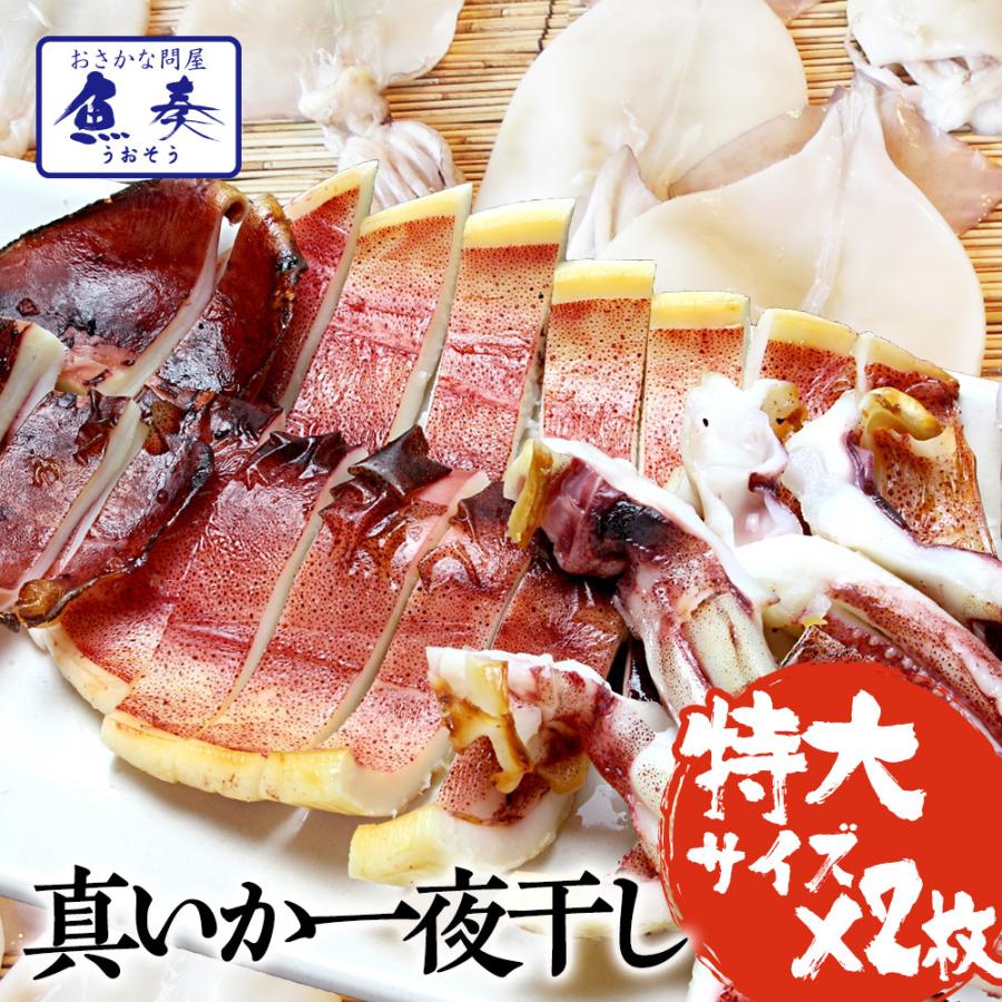真いか 一夜干し 特大サイズ2枚 北海道産 稚内 スルメイカ 烏賊 やわらか 在宅 母の日 父の日 敬老 母の日 父の日 敬老 中元 ギフト