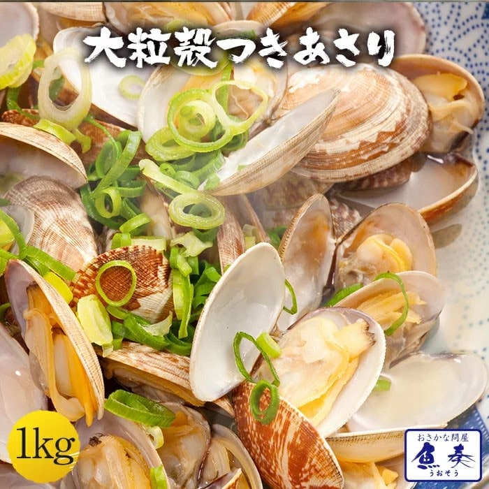 大粒あさり貝 殻つき 1kg（500g×2パック） アサリ 浅利  酒蒸し 味噌汁 吸い物 あさりバター 母の日 父の日 敬老 中元 ギフト