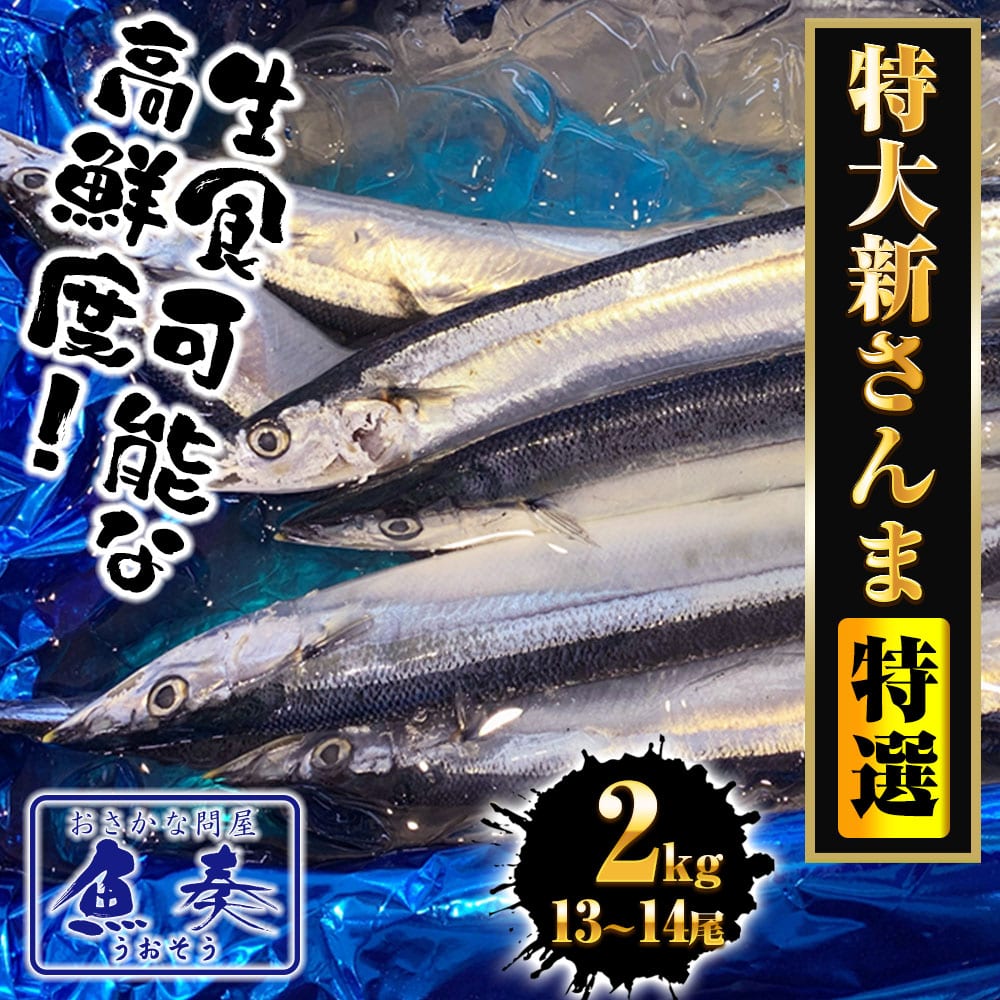 特大生さんま 2kg(13/14尾) 特選 送料無料 生食可能 さんま サンマ 秋刀魚 北海道 → 三陸 母の日 父の日 敬老 中元 ギフト