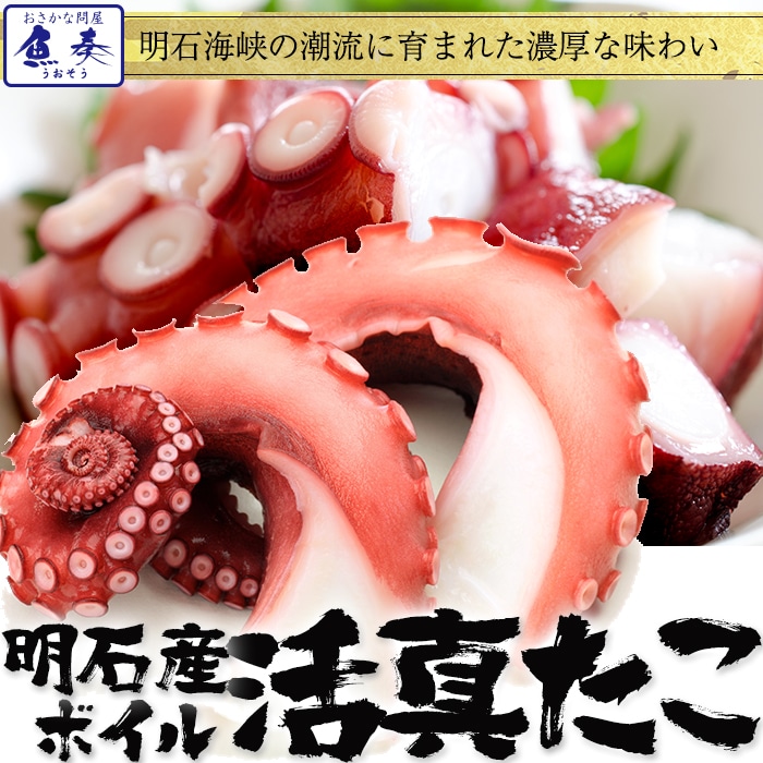 たこ タコ 蛸 明石産 ボイルたこ 500g 足だけ （約4～6本） 明石たこ 真たこ 半夏生 中元 お歳暮 母の日 父の日 敬老 中元 ギフト