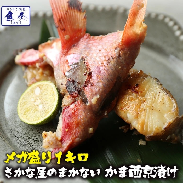 訳あり 魚屋のまかない 西京漬け 1kg 味噌漬け かま 在宅 母の日 父の日 敬老 在宅応援 中元 お歳暮 母の日 父の日 敬老 中元 ギフト