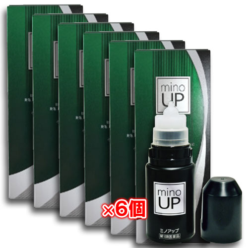 【第1類医薬品】ミノアップ60ml×6個セット【東和薬品】ミノキシジル5％配合ミノグロウ