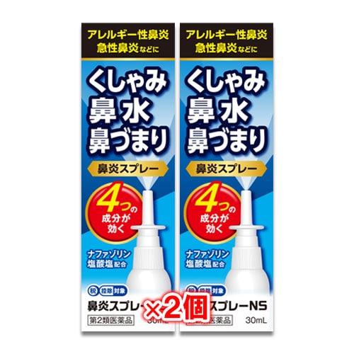 【第2類医薬品】★鼻炎スプレーNS30mL×2個セット【中央製薬】ナザールスプレーと同じ成分配合鼻炎用