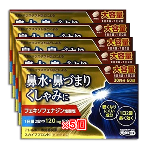 【第2類医薬品】★スカイブブロンHI60錠(30日分)×5個セット【日野薬品工業】大容量アレルギー専用鼻炎薬