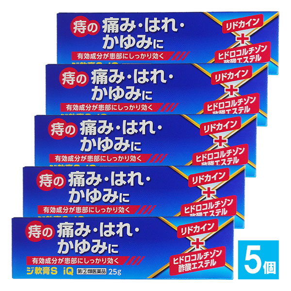 【指定第2類医薬品】ジ軟膏S iQ25g×5個セット【中央製薬】オシリアと同じ成分配合痔