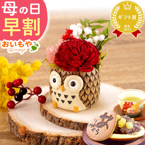 母の日 ギフト プレゼント お花 2026 送料無料  [ふくろう・茶色] お祝い  花 スイーツ ギフト おしゃれ お菓子 プリザーブドフラワー バラ 花とスイーツ 花とお菓子 女性 60代 70代 80代