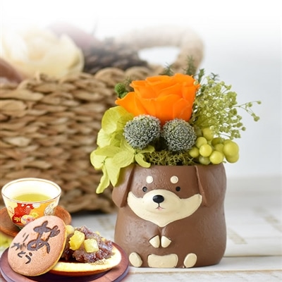 誕生日 プレゼント 送料無料 [ダックス・茶] お祝い  花 スイーツ ギフト おしゃれ お菓子 プリザーブドフラワー バラ 花とスイーツ 花とお菓子 女性 60代 70代 80代