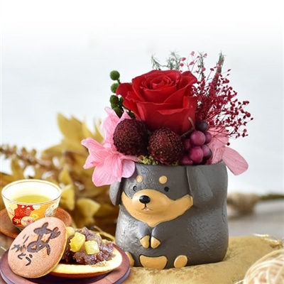 誕生日 プレゼント 送料無料 [ダックス・こげ茶] お祝い  花 スイーツ ギフト おしゃれ お菓子 プリザーブドフラワー バラ 花とスイーツ 花とお菓子 女性 60代 70代 80代