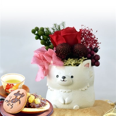 誕生日 プレゼント 送料無料 [チワワプリザ・白] お祝い  花 スイーツ ギフト おしゃれ お菓子 プリザーブドフラワー バラ 花とスイーツ 花とお菓子 女性 60代 70代 80代