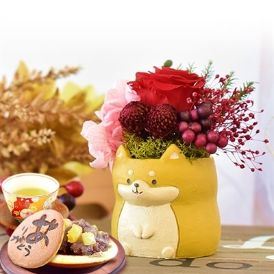 誕生日 プレゼント 送料無料 [柴犬プリザ・茶] お祝い  花 スイーツ ギフト おしゃれ お菓子 プリザーブドフラワー バラ 花とスイーツ 花とお菓子 女性 60代 70代 80代