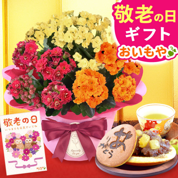 敬老の日 ギフト プレゼント 花 生花 カランコエ どら焼き アレンジメント 人気 おしゃれ 花以外 送料無料 スイーツ お菓子 和菓子 洋菓子 ギフトセット 【敬老の日】