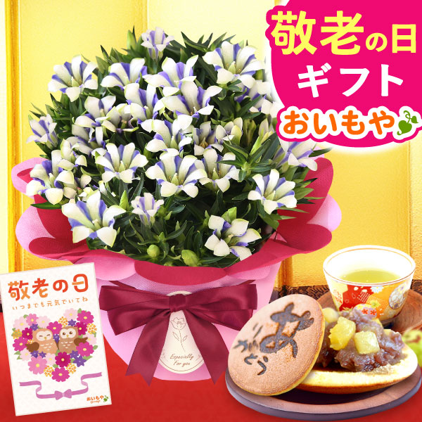 敬老の日 ギフト プレゼント 花 生花 りんどう (白寿) 竜胆 リンドウ どら焼き アレンジメント 人気 おしゃれ 送料無料  スイーツ お菓子 和菓子 ギフト 【敬老】