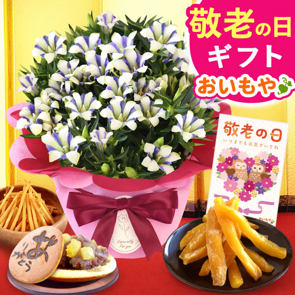 敬老の日 ギフト プレゼント 花 生花 りんどう (白寿) 竜胆 リンドウ 和菓子セット干し芋 芋けんぴ 芋かりんとう どら焼き アレンジメント 人気 おしゃれ 送料無料  スイーツ お菓子 洋菓子 ギフト 【敬老】