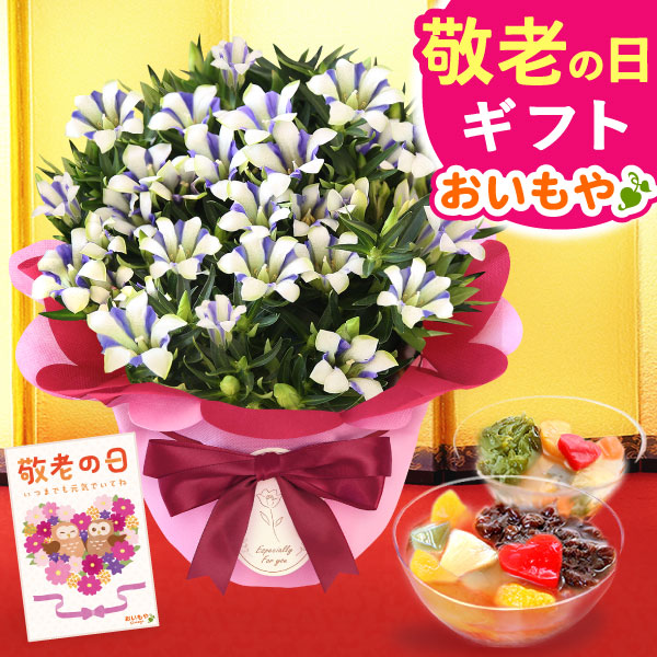 敬老の日 ギフト プレゼント 花 生花 りんどう (白寿) 竜胆 リンドウ and3あんみつ あんみつ アレンジメント 人気 おしゃれ 送料無料  スイーツ お菓子 和菓子 ギフト 【敬老】
