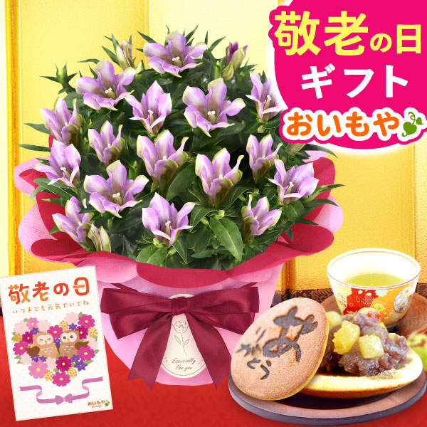 敬老の日 ギフト プレゼント 花 生花 りんどう (長寿) 竜胆 リンドウ どら焼き アレンジメント 人気 おしゃれ 送料無料  スイーツ お菓子 和菓子 ギフト 【敬老】